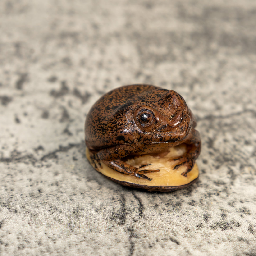 Brown Toad Frog Tagua Carving