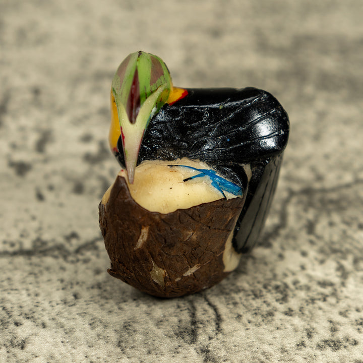 Toucan Parrot Bird Tagua Carving