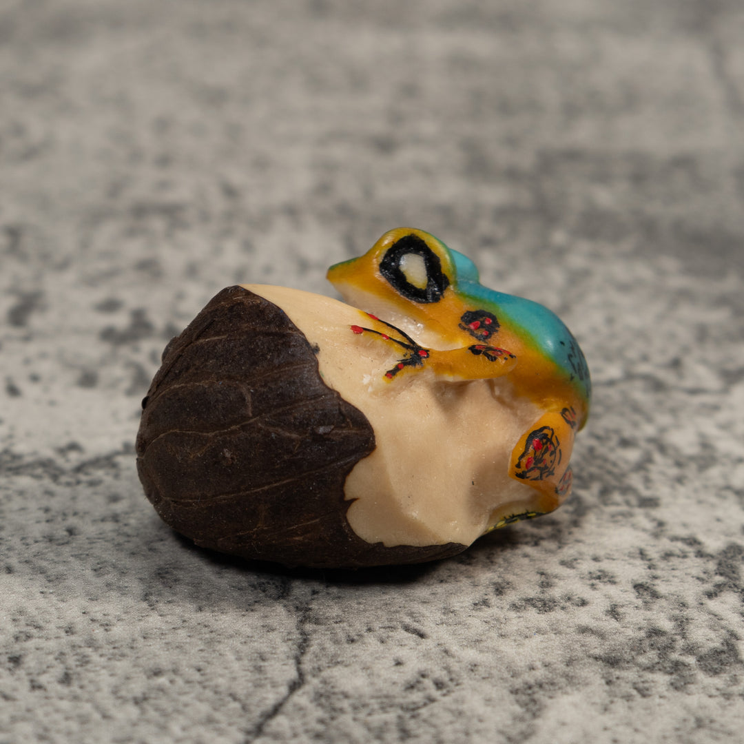 Vintage Blue Abd Gold Poison Dart Frog Tagua Carving