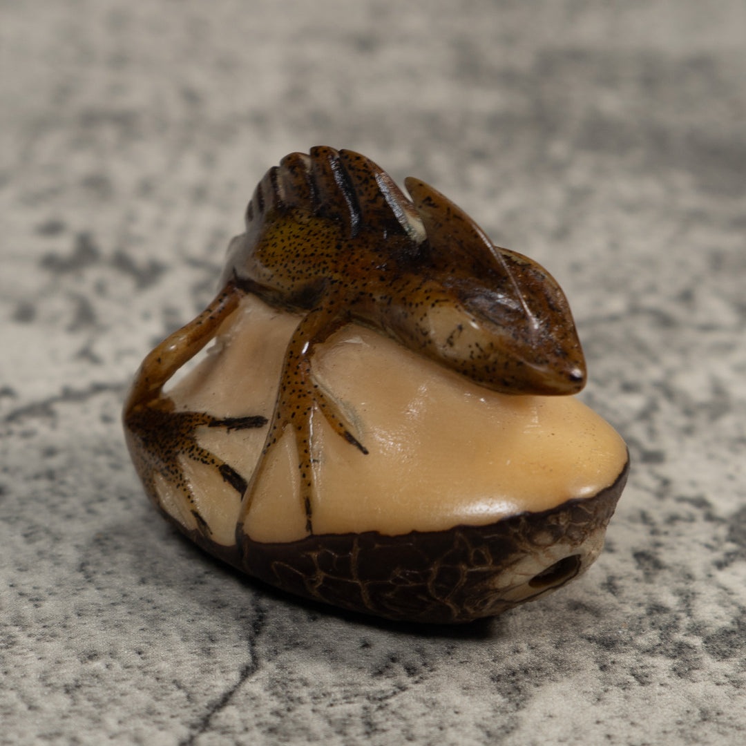 Water Walker Jesus Lizard Reptile Tagua Carving
