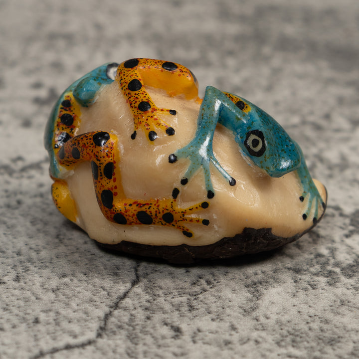 Double Blue Gold And Black Poison Dart Frog Tagua Carving