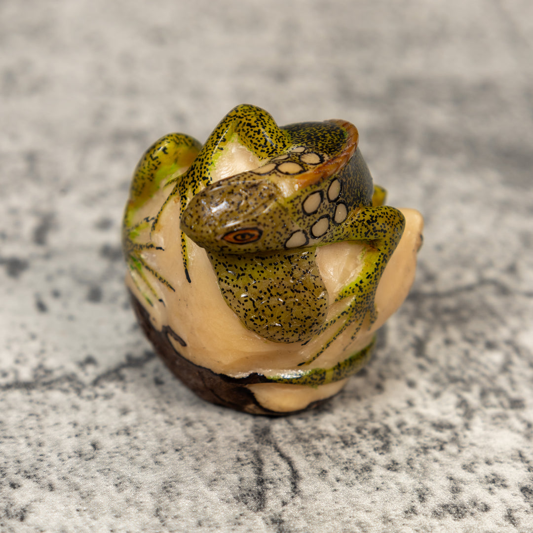 Iguana Lizard Reptile Tagua Carving