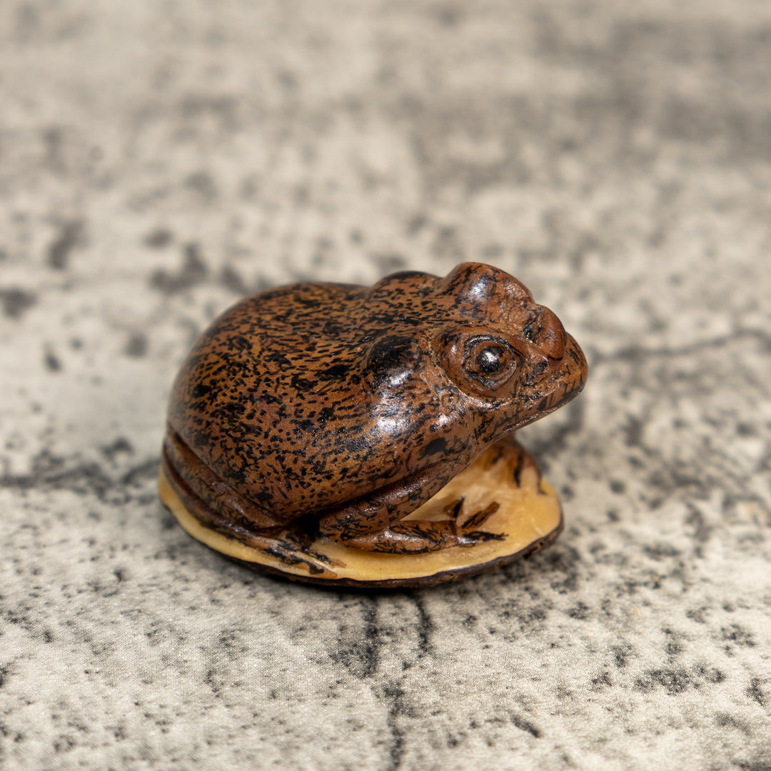Brown Toad Frog Tagua Carving