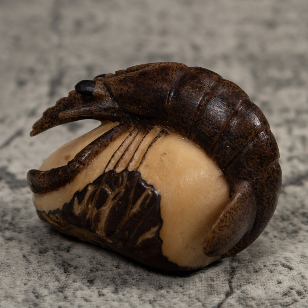 Vintage Shrimp Tagua Carving