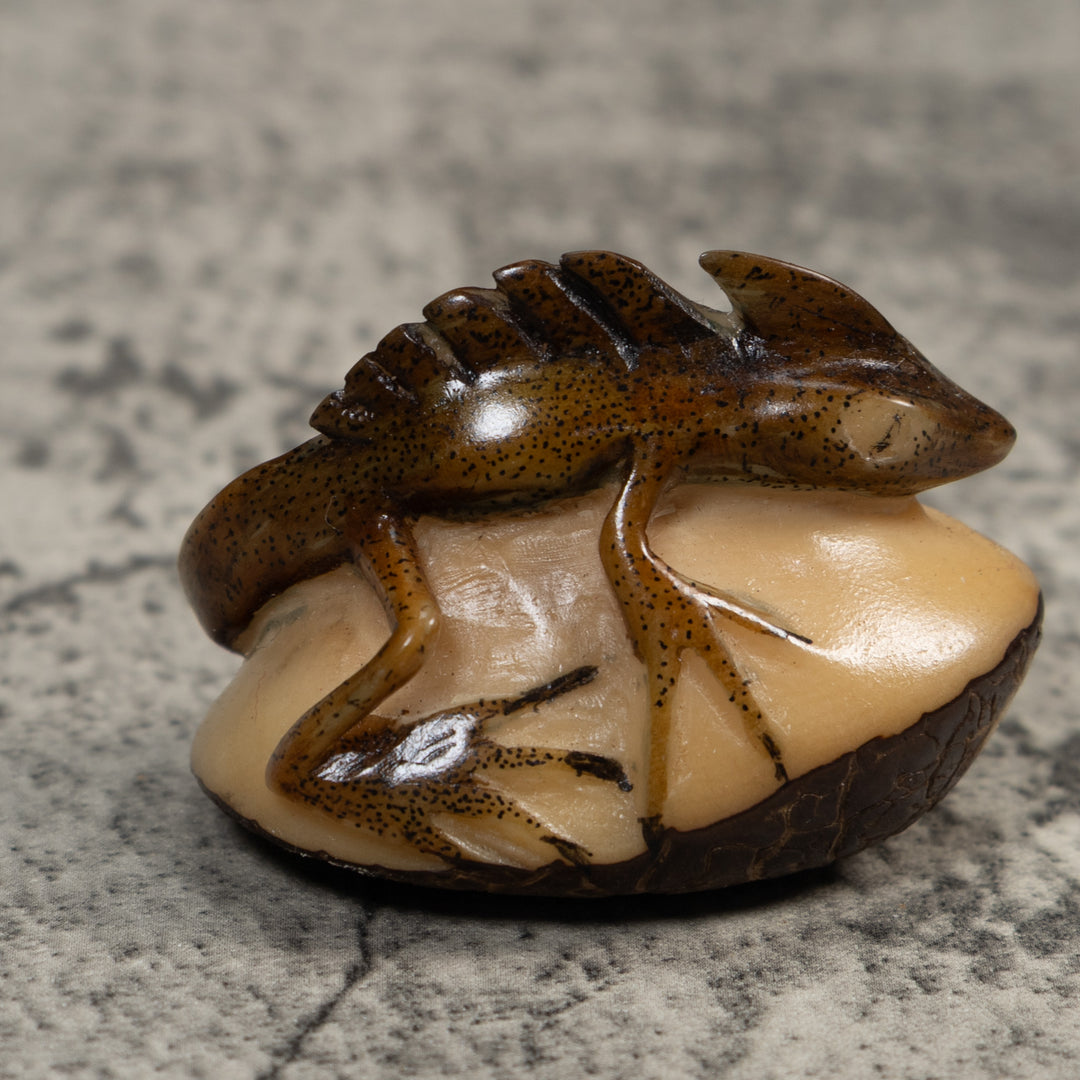 Water Walker Jesus Lizard Reptile Tagua Carving