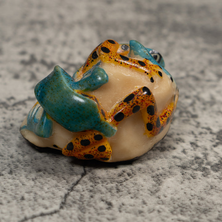 Double Blue Gold And Black Poison Dart Frog Tagua Carving