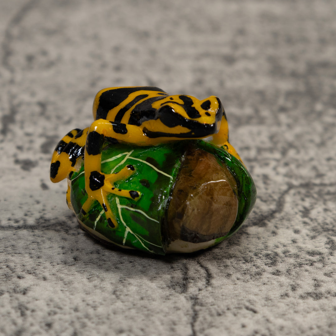 Black And Gold Poison Dart Frog Tagua Carving