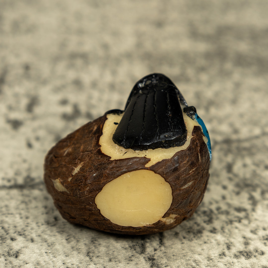 Toucan Parrot Bird Tagua Carving