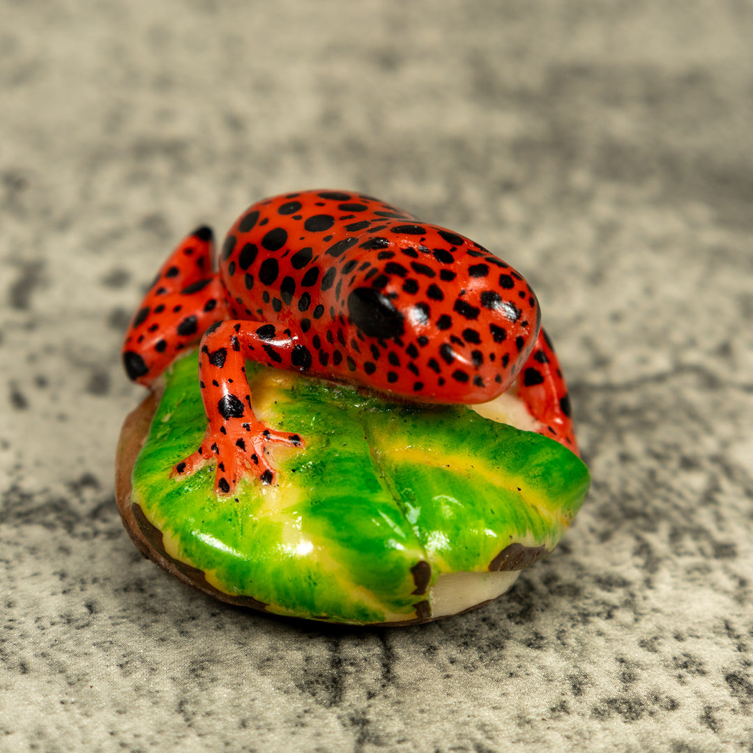 Red And Black Poison Dart Frog Tagua Carving