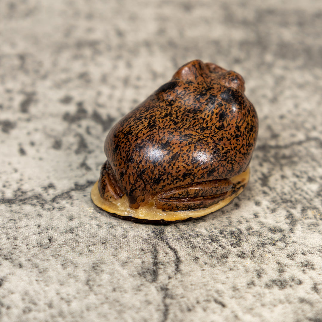 Brown Toad Frog Tagua Carving