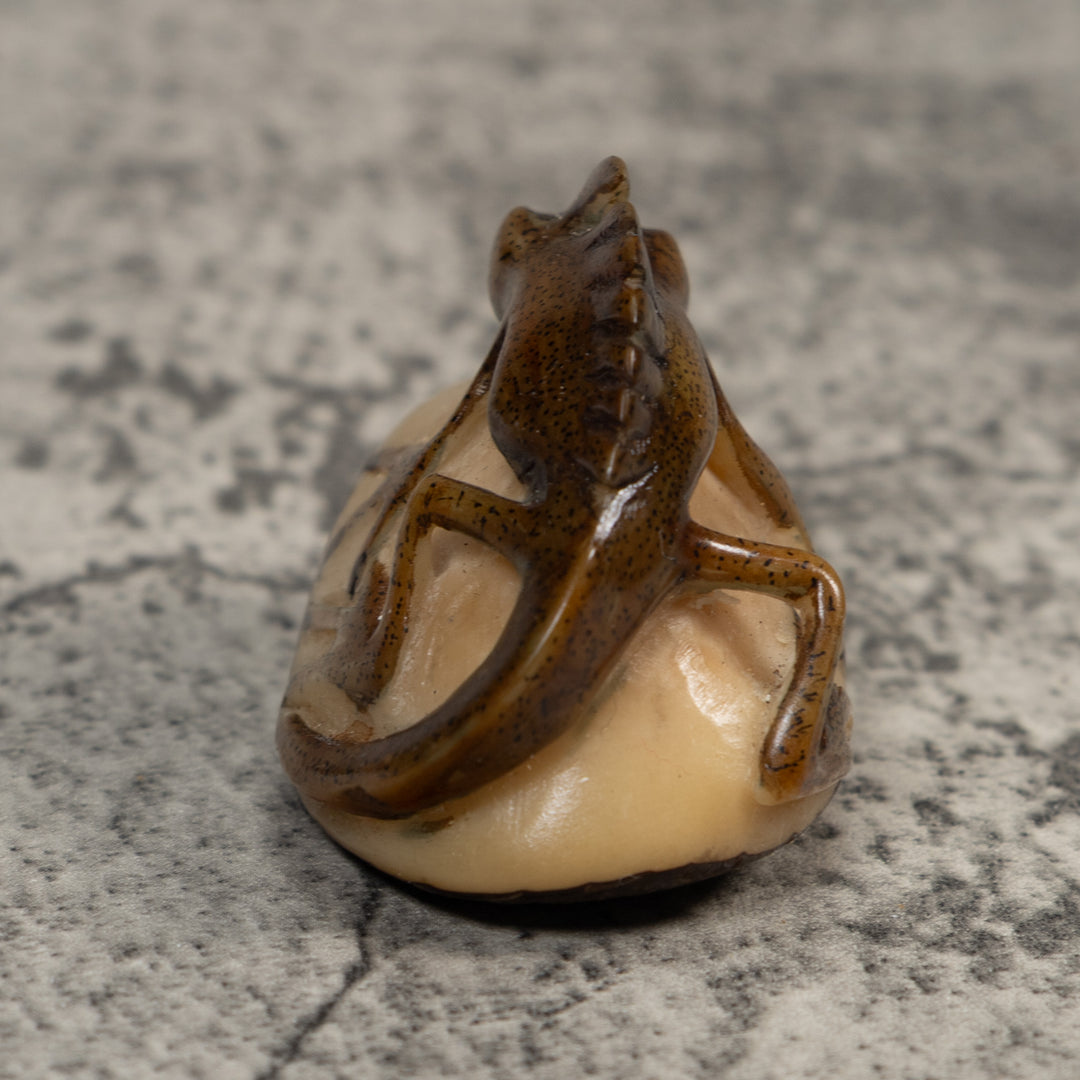 Water Walker Jesus Lizard Reptile Tagua Carving