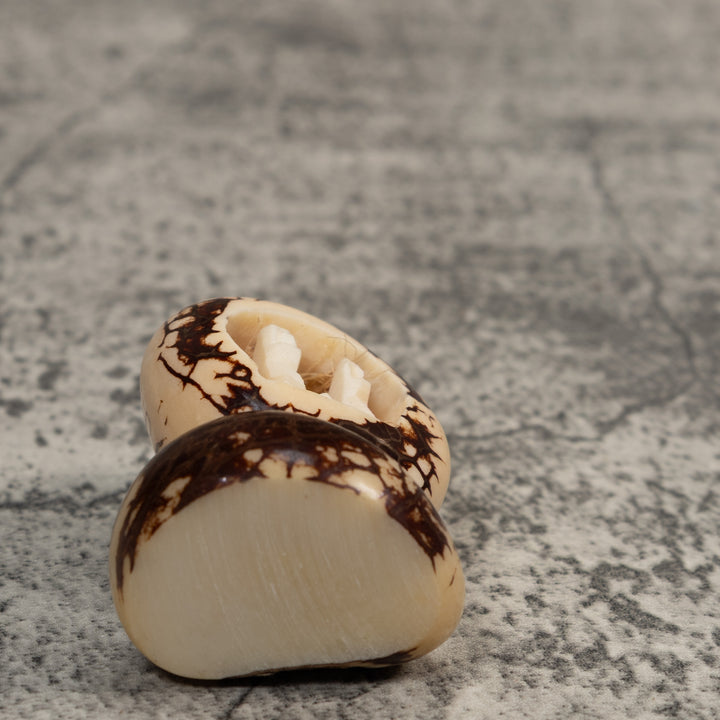 Christmas Creche Tagua Carving