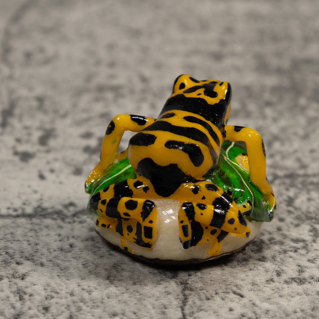 Black And Gold Poison Dart Frog Tagua Carving