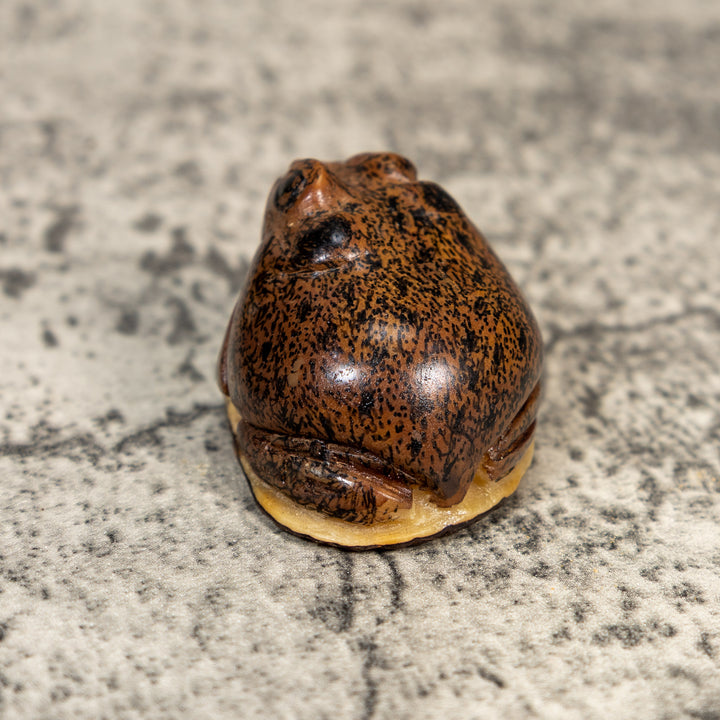 Brown Toad Frog Tagua Carving