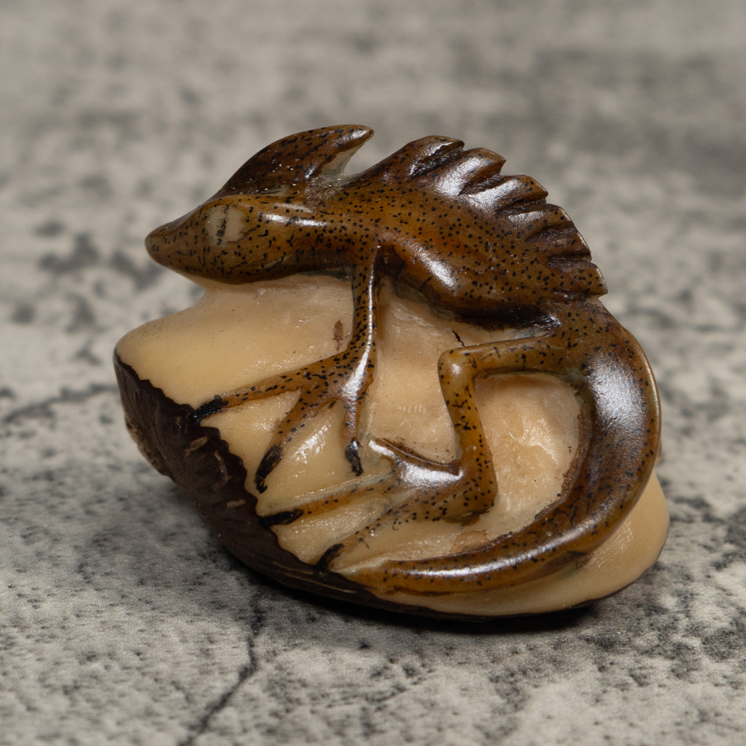 Water Walker Jesus Lizard Reptile Tagua Carving