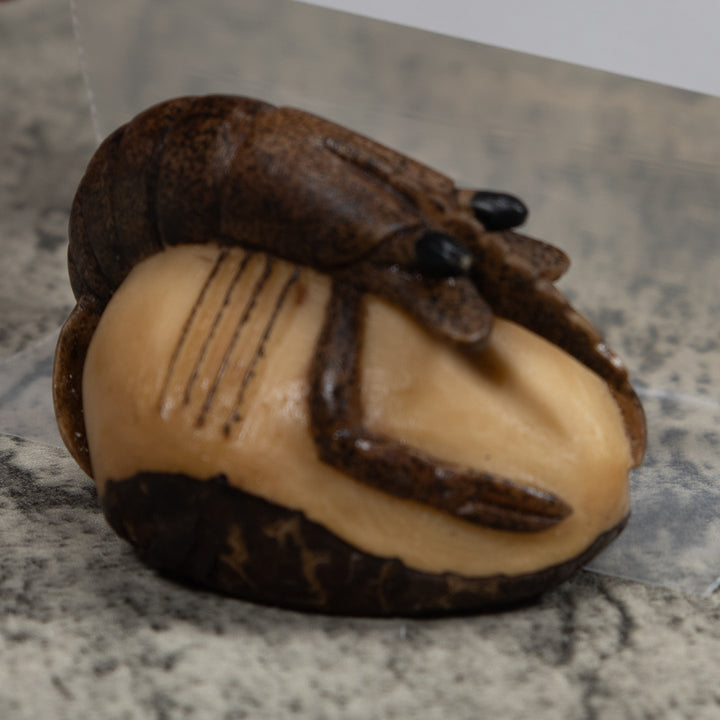 Vintage Shrimp Tagua Carving