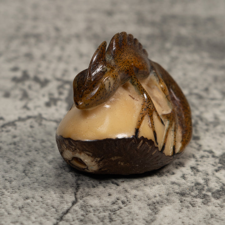 Water Walker Jesus Lizard Reptile Tagua Carving