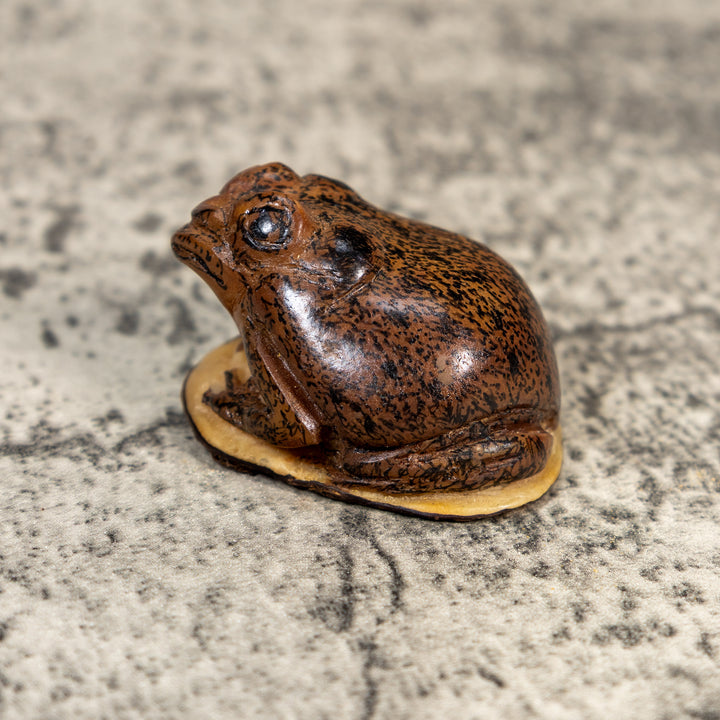 Brown Toad Frog Tagua Carving