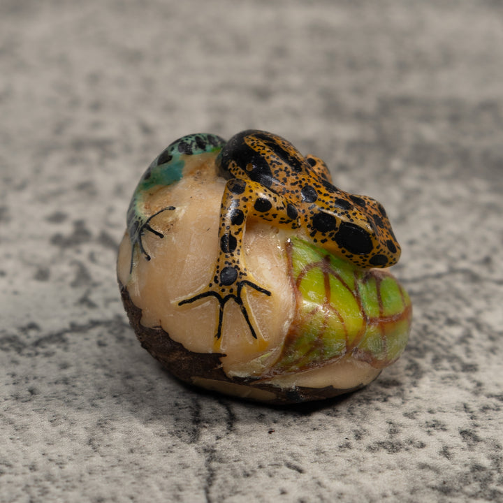 Vintage Blue Gold And Black Poison Dart Frog Tagua Carving