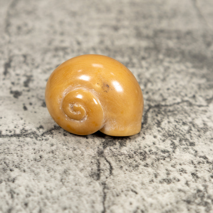 Natural White Seashell Tagua Carving