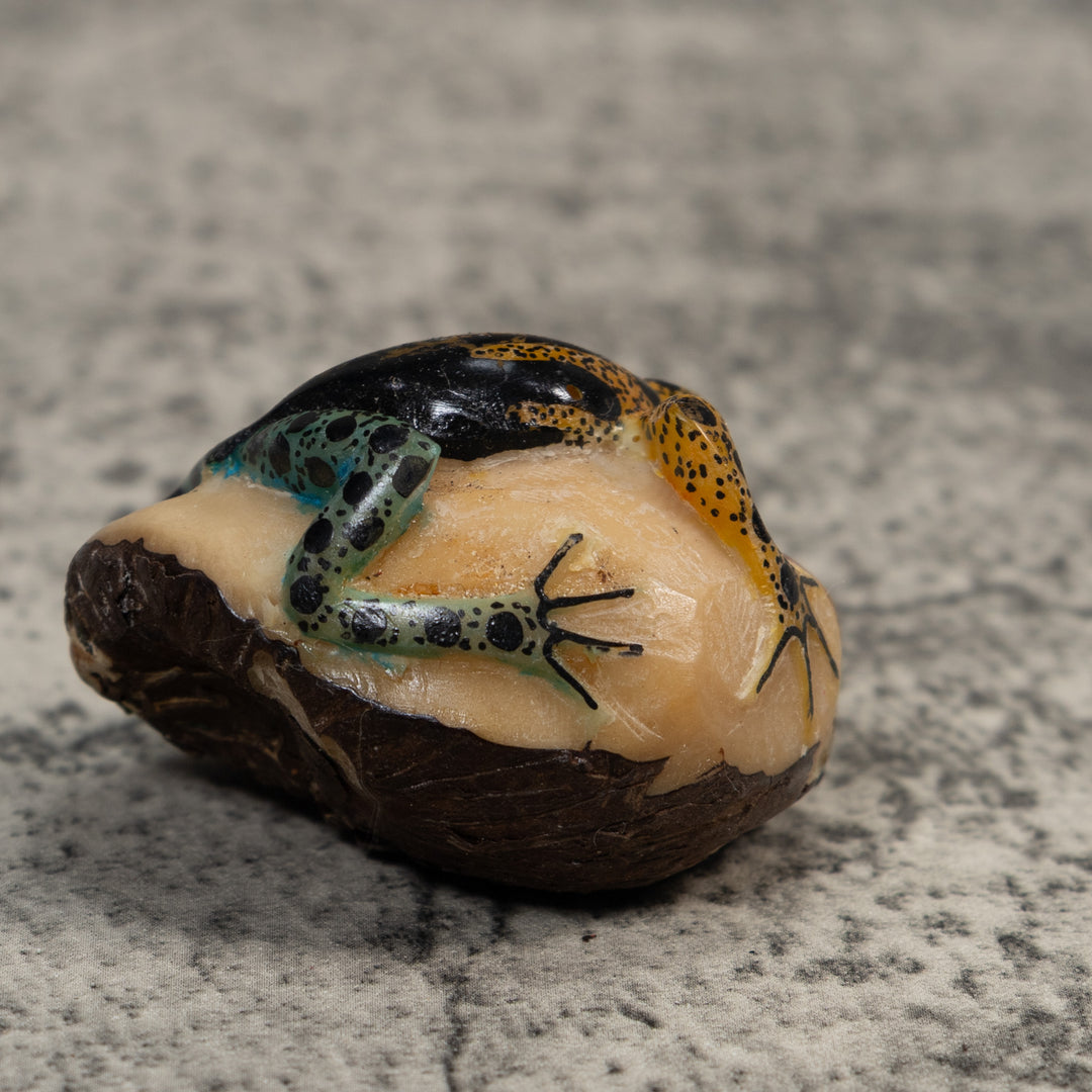 Vintage Blue Gold And Black Poison Dart Frog Tagua Carving