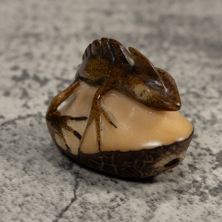Water Walker Jesus Lizard Reptile Tagua Carving