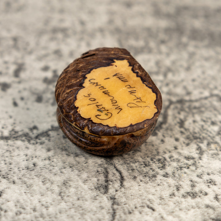 Brown Toad Frog Tagua Carving