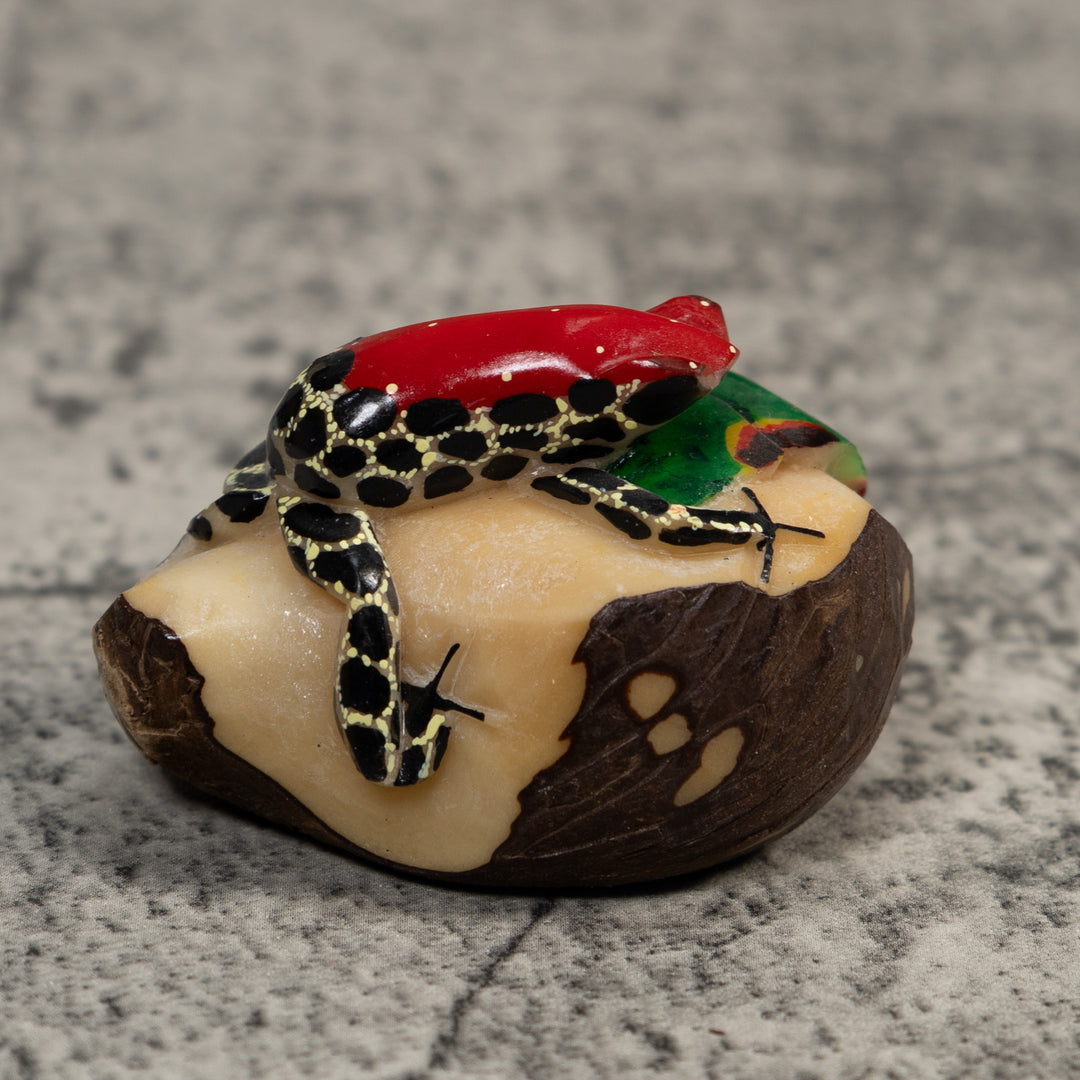 Red Black And Yellow Poison Dart Frog Tagua Carving