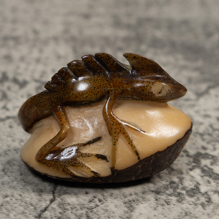 Water Walker Jesus Lizard Reptile Tagua Carving