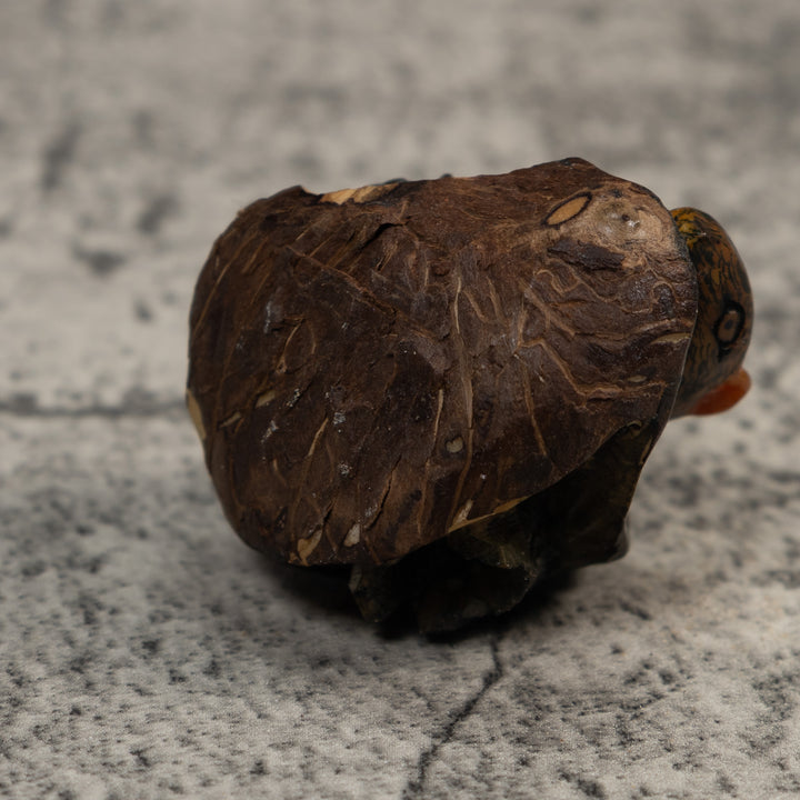 Neque Agouti In Log Tagua Carving