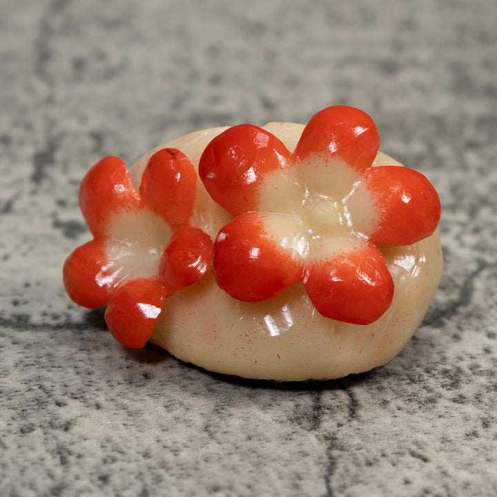 Double Orange Flower Petals Tagua Carving