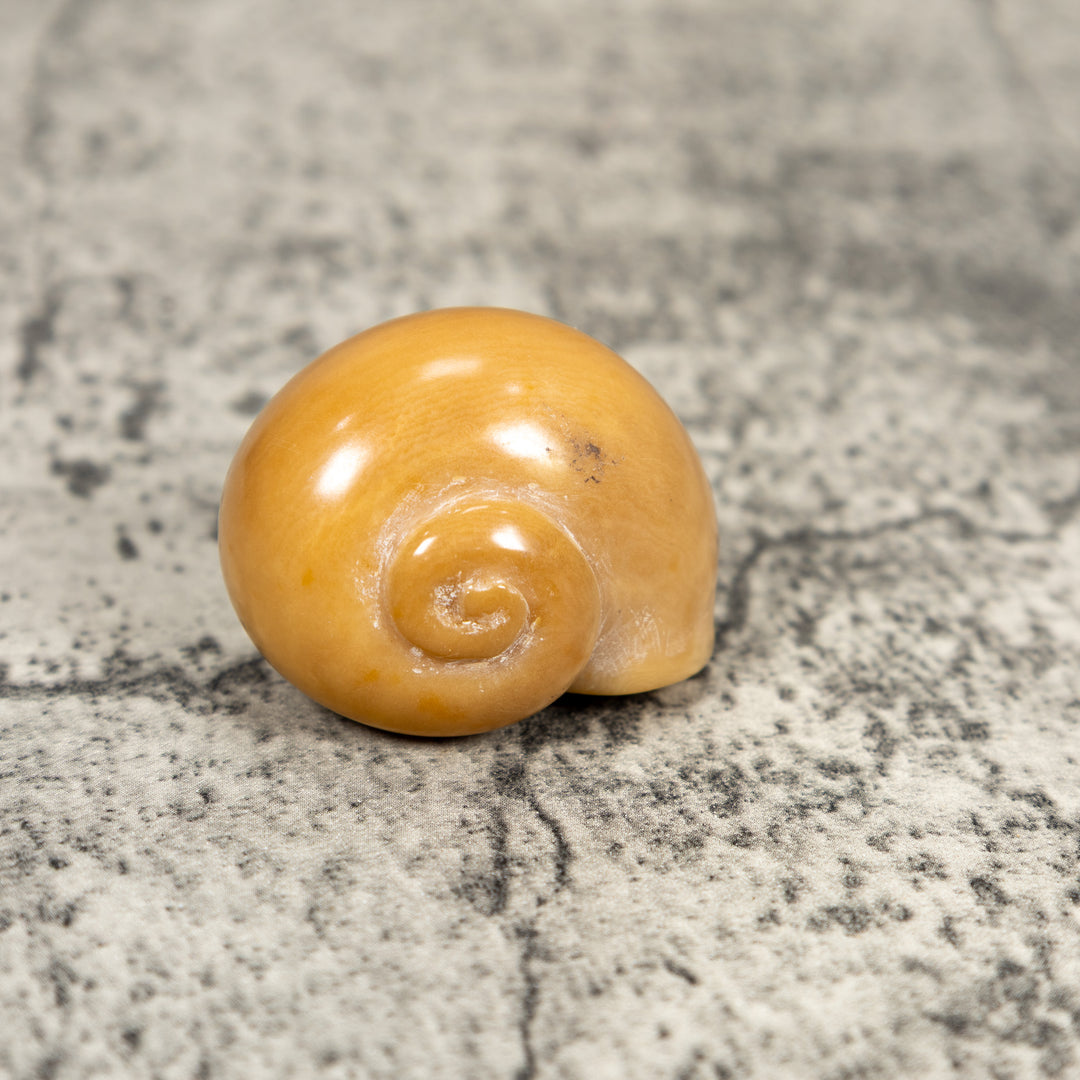 Natural White Seashell Tagua Carving