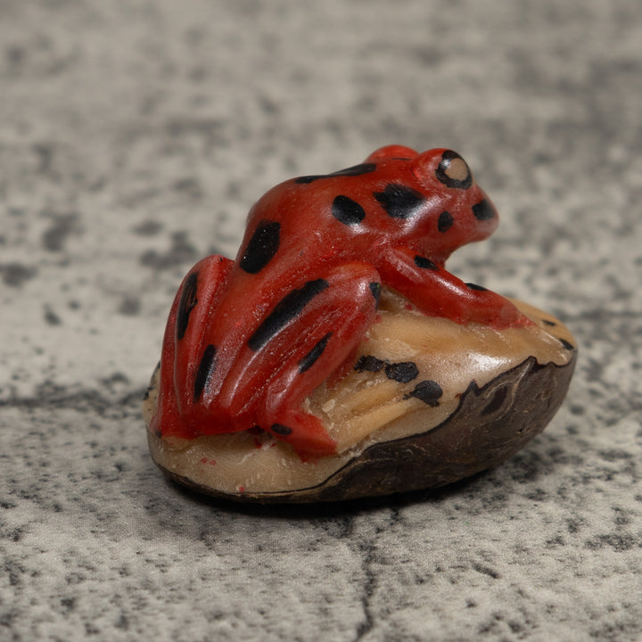 Vintage Red And Black Frog Tagua Carving