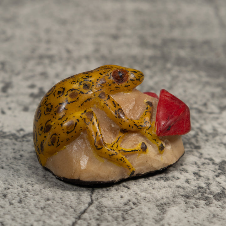Yellow Black And Red Frog With Foliage Tagua Carving