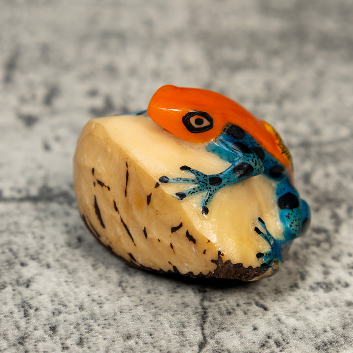 Orange And Blue Poison Dart Frog Tagua Carving