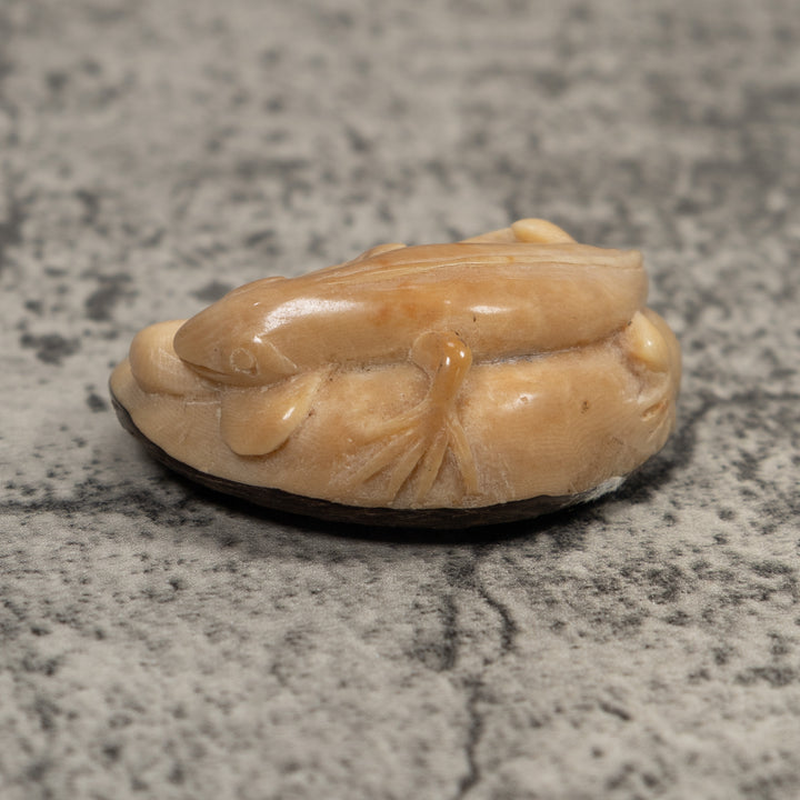 Vintage Iguana And Frog Tagua Carving