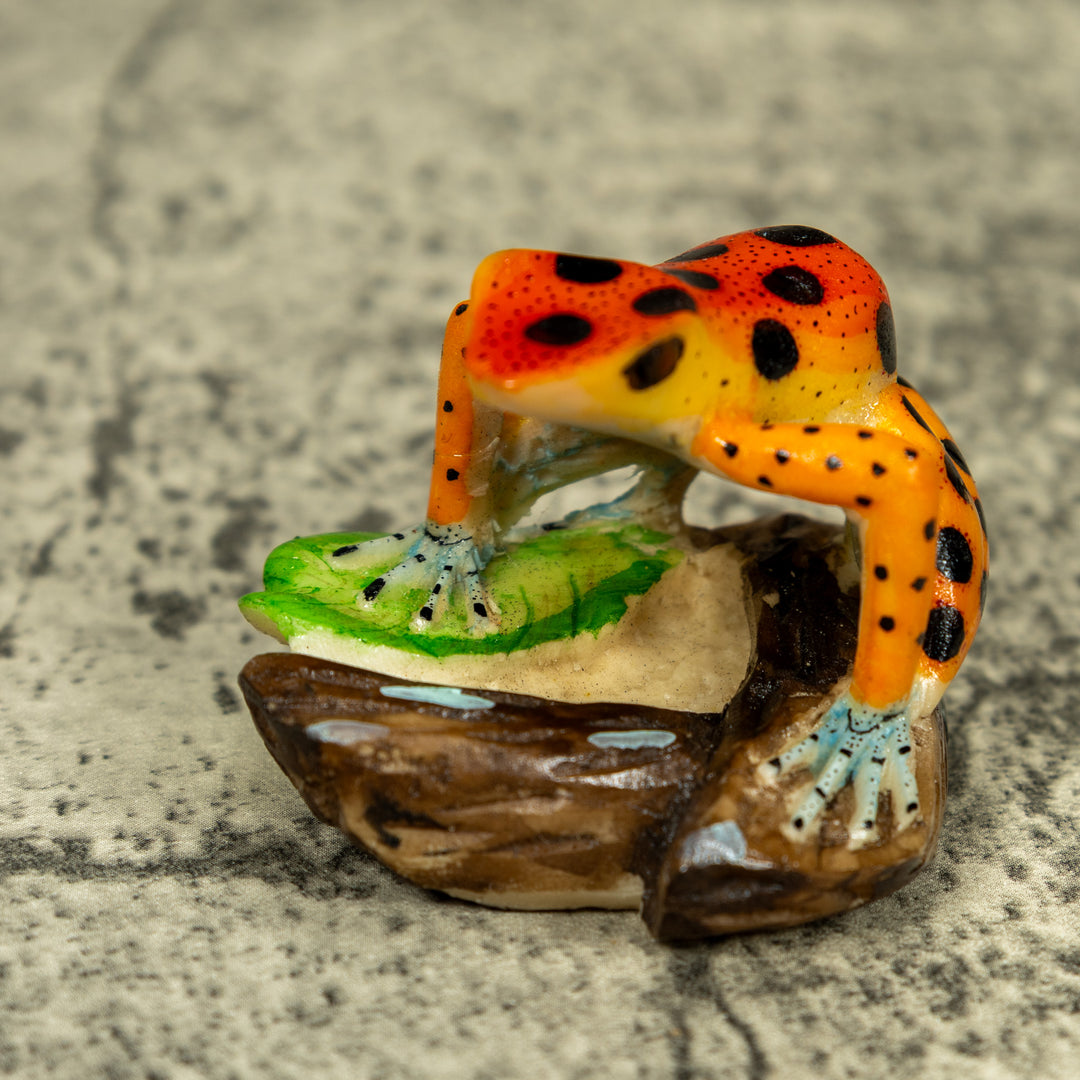 Orange And Yellow Poison Dart Frog Tagua Carving