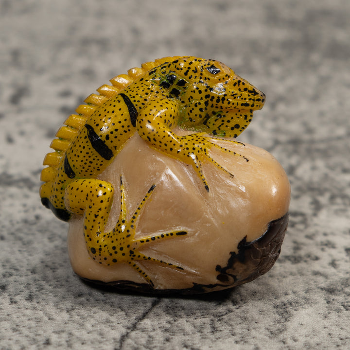 Magnificent Iguana Lizard Tagua Carving