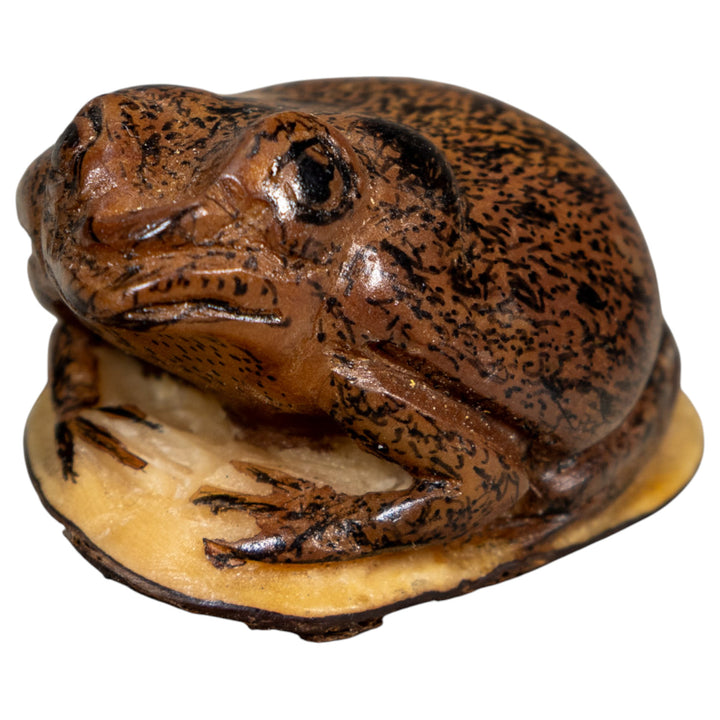 Brown Toad Frog Tagua Carving