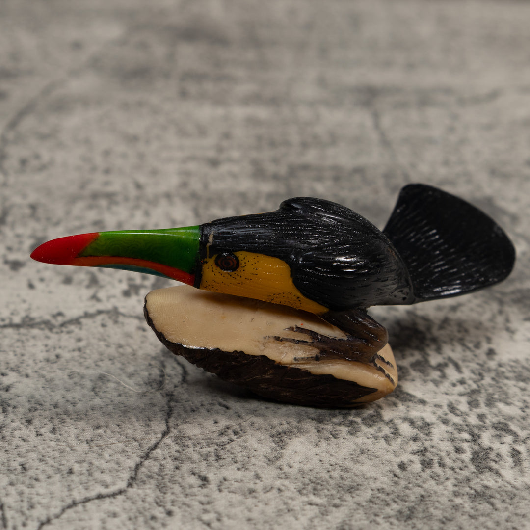 Toucan Parrot Bird Tagua Carving