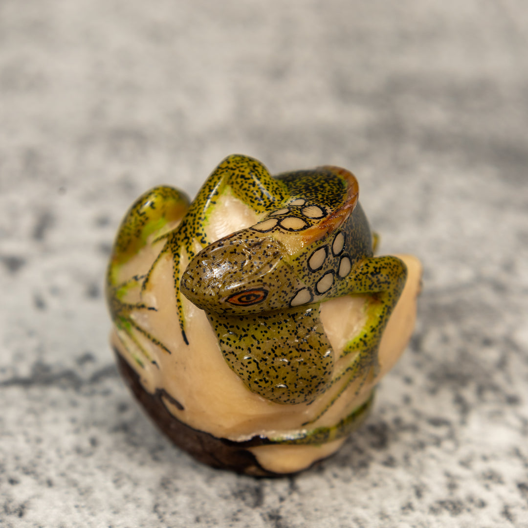 Iguana Lizard Reptile Tagua Carving