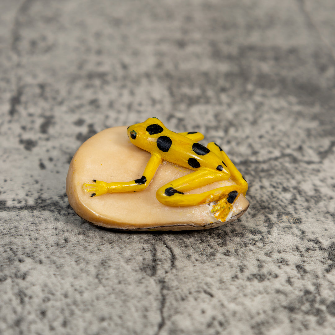 Golden Frog Tagua Carving