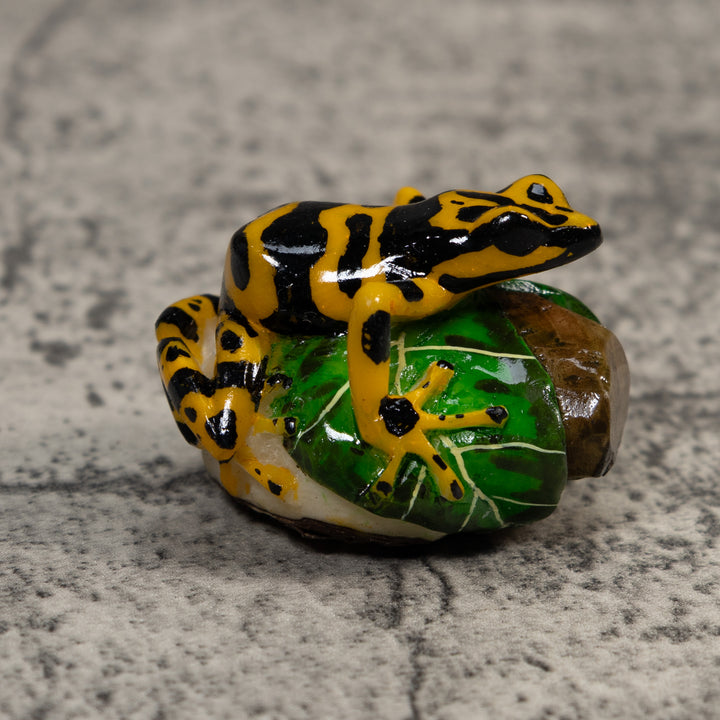 Black And Gold Poison Dart Frog Tagua Carving