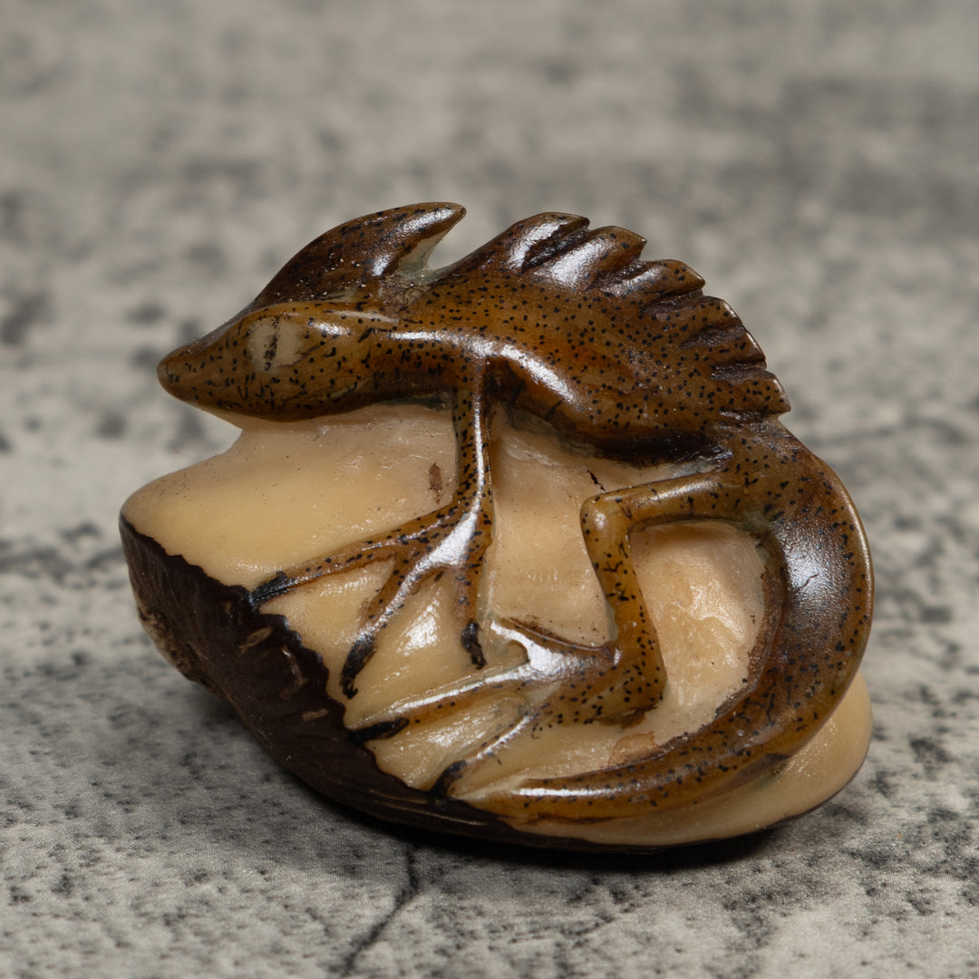 Water Walker Jesus Lizard Reptile Tagua Carving
