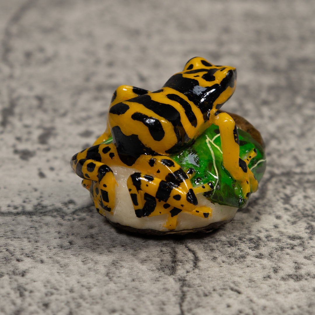 Black And Gold Poison Dart Frog Tagua Carving