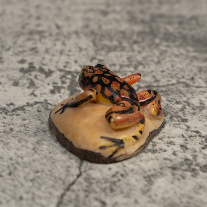 Gold And Black Poison Dart Frog Tagua Carving
