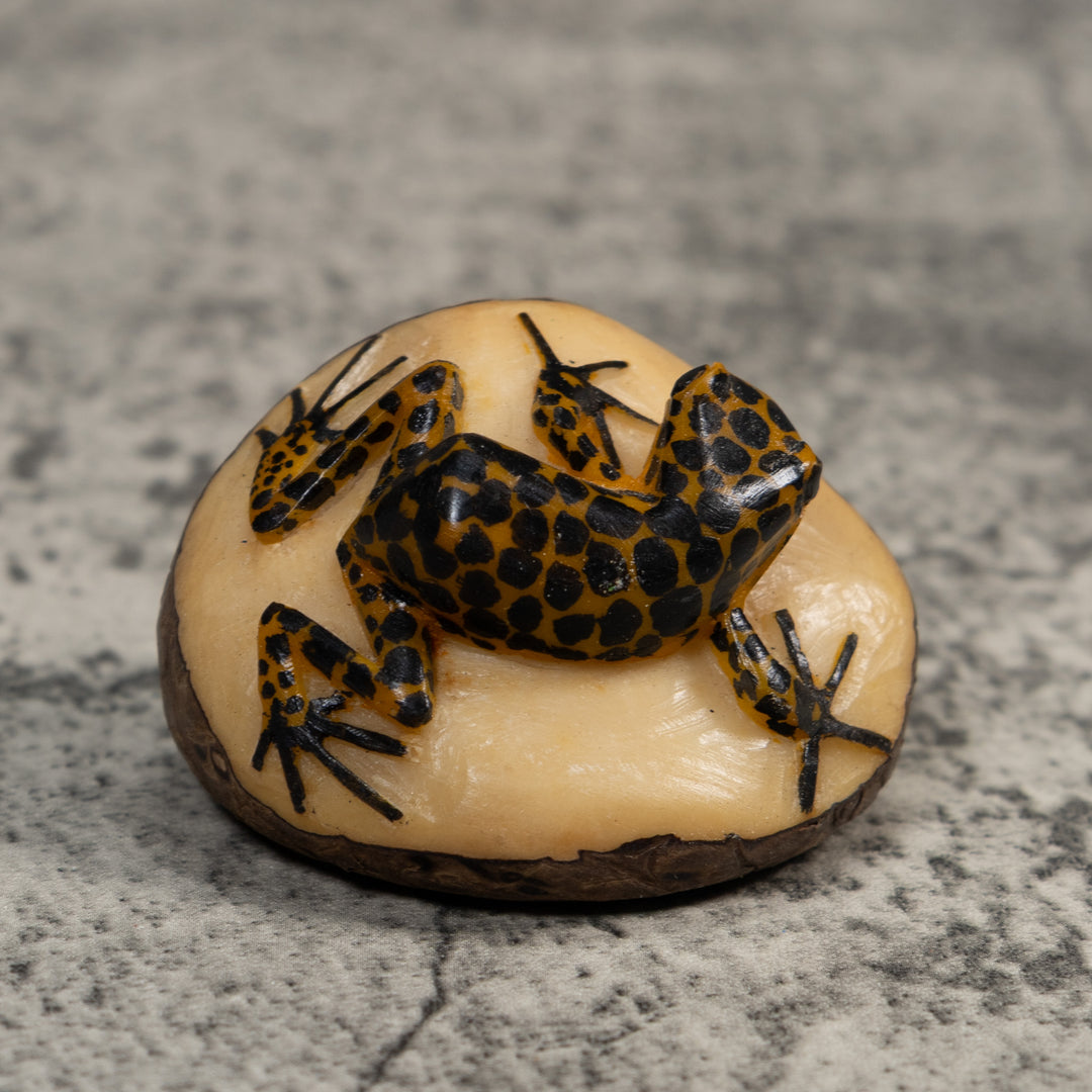 Black And Gold Poison Dart Frog Tagua Carving