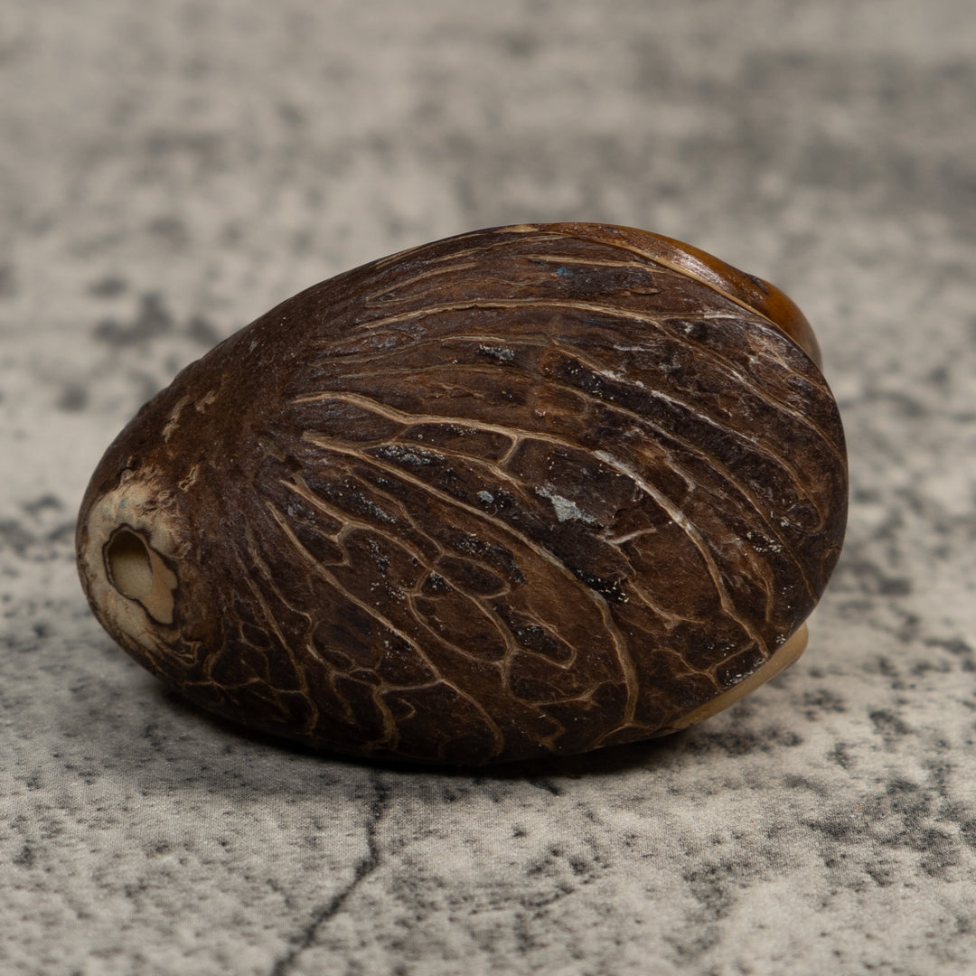 Water Walker Jesus Lizard Reptile Tagua Carving