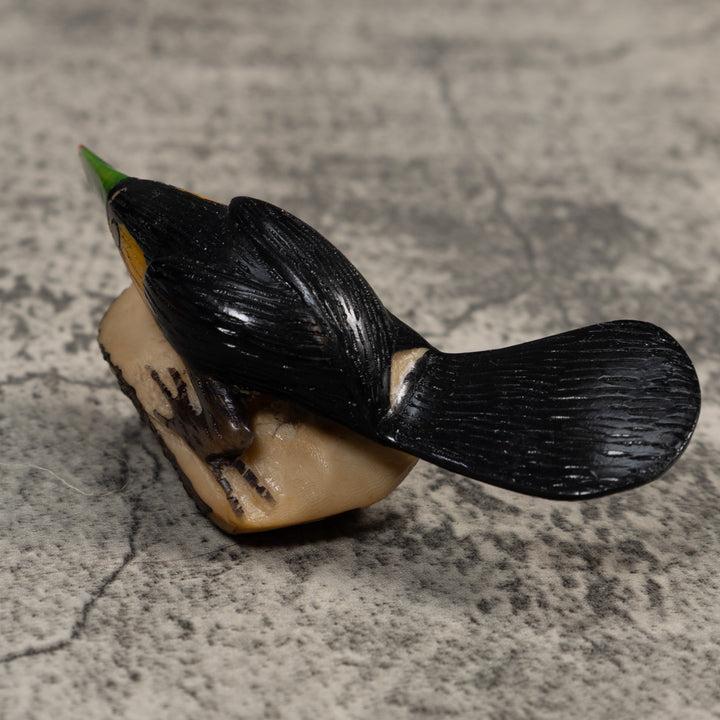 Toucan Parrot Bird Tagua Carving