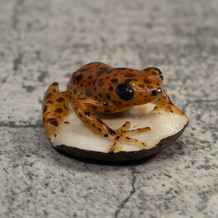 Brown And Black Jungle Frog Tagua Carving
